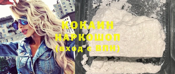 гашик Няндома