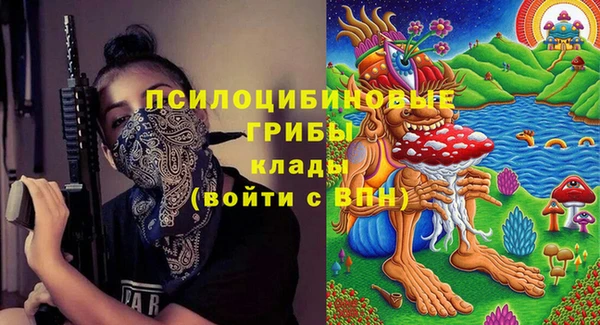 гашик Няндома