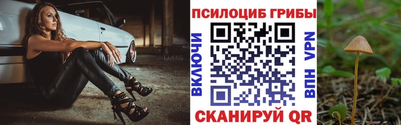 Псилоцибиновые грибы Magic Shrooms  Купить где  Урай 